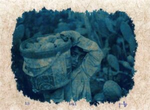 Peter Ibrahim (13) Peter Ibrahim (13)