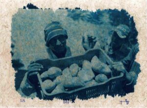 Peter Ibrahim (17) Peter Ibrahim (17)