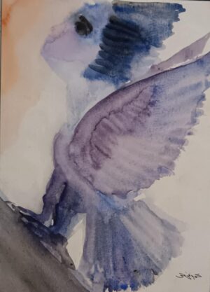 Mohamed Abou Elnaga (4)