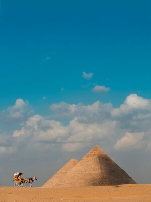 Bassam Alzoghby (14) Bassam Alzoghby (14)