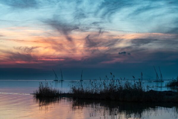 Bassam Alzoghby (16)